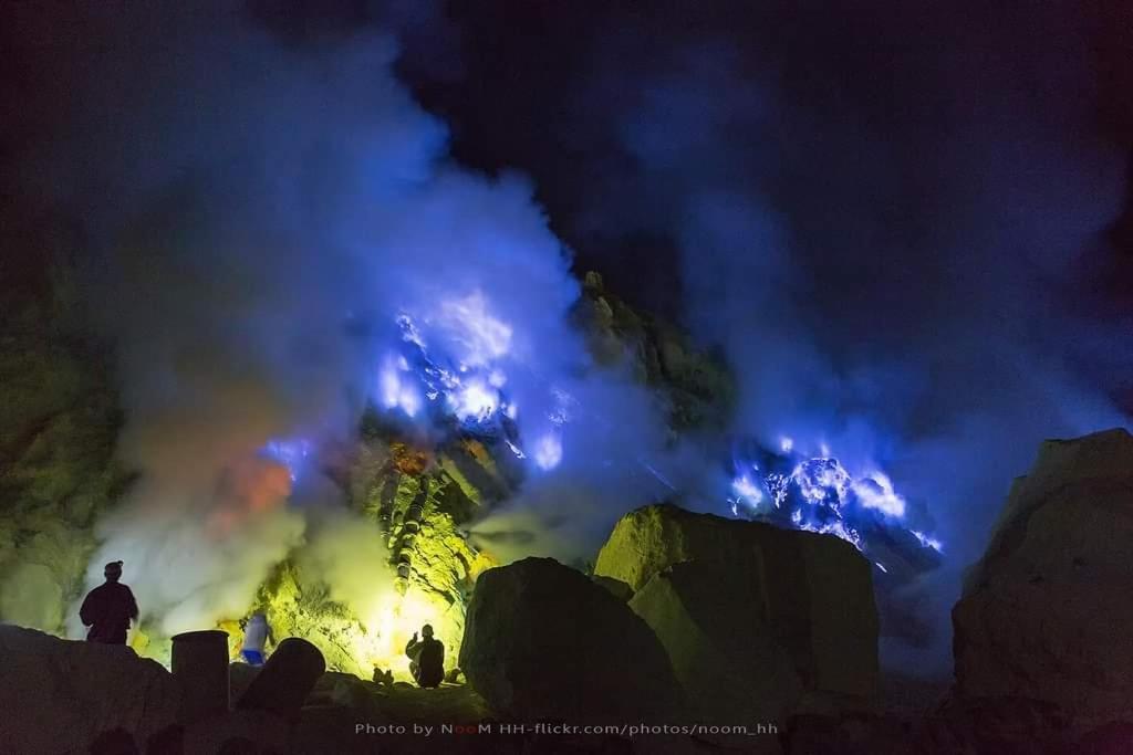Dannu'S Homestay Ijen And Bromo Tour 外南梦 外观 照片
