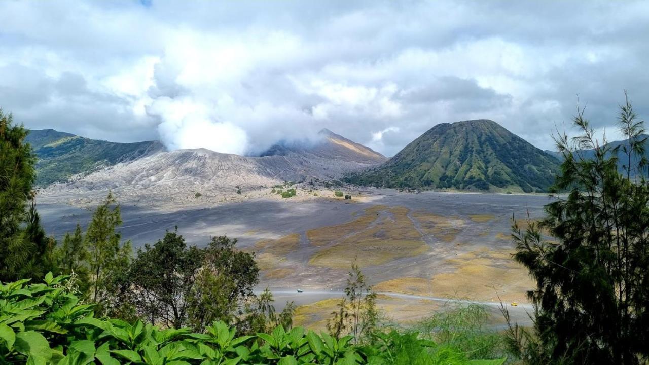 Dannu'S Homestay Ijen And Bromo Tour 外南梦 外观 照片