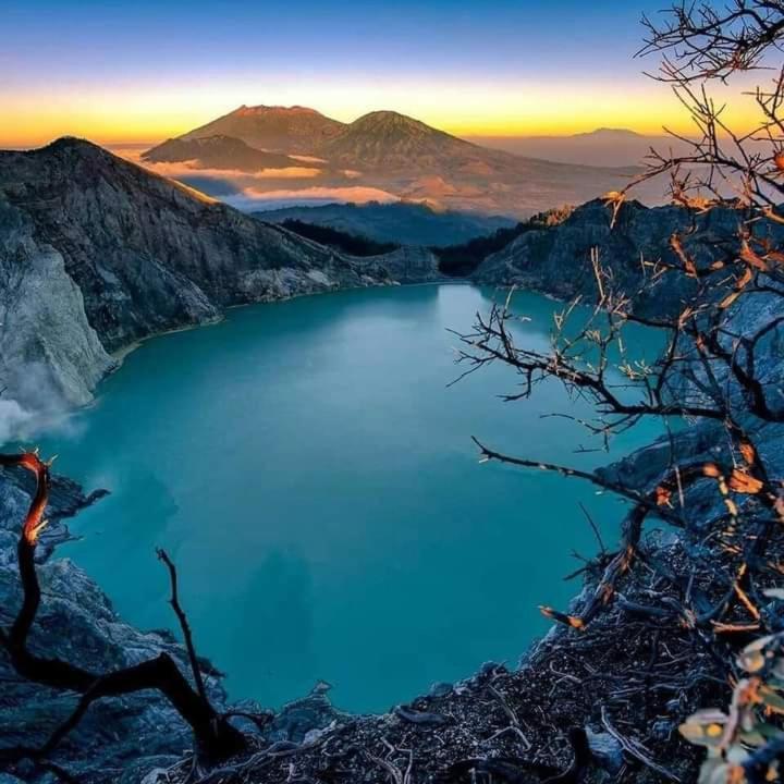 Dannu'S Homestay Ijen And Bromo Tour 外南梦 外观 照片