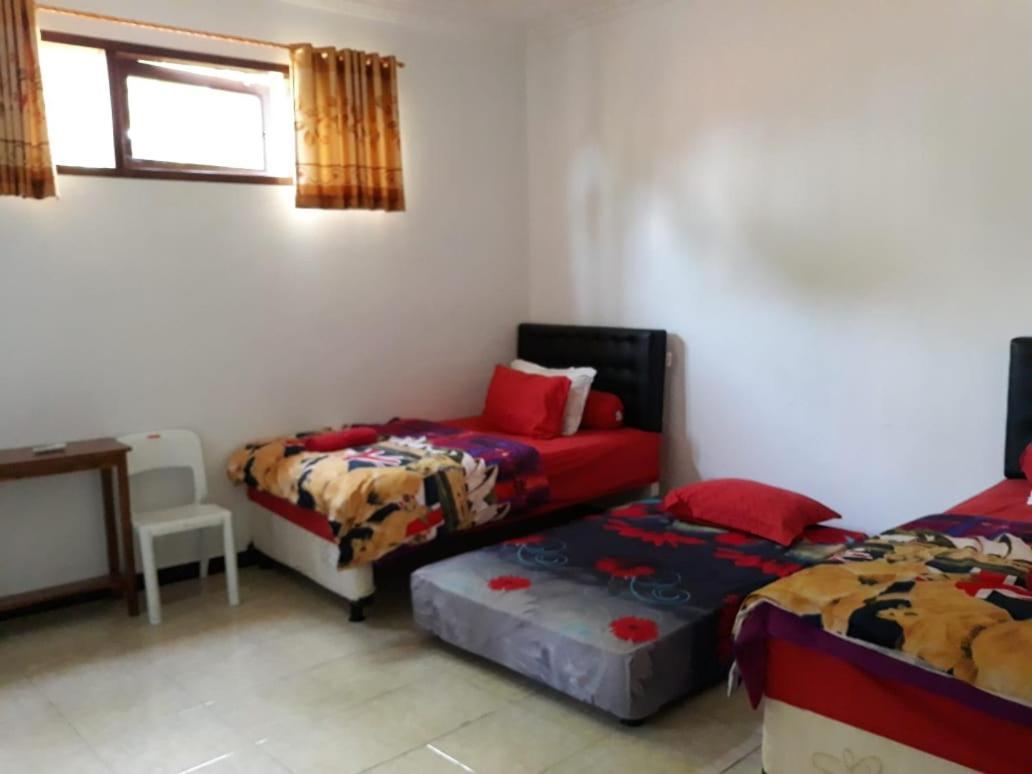 Dannu'S Homestay Ijen And Bromo Tour 外南梦 外观 照片