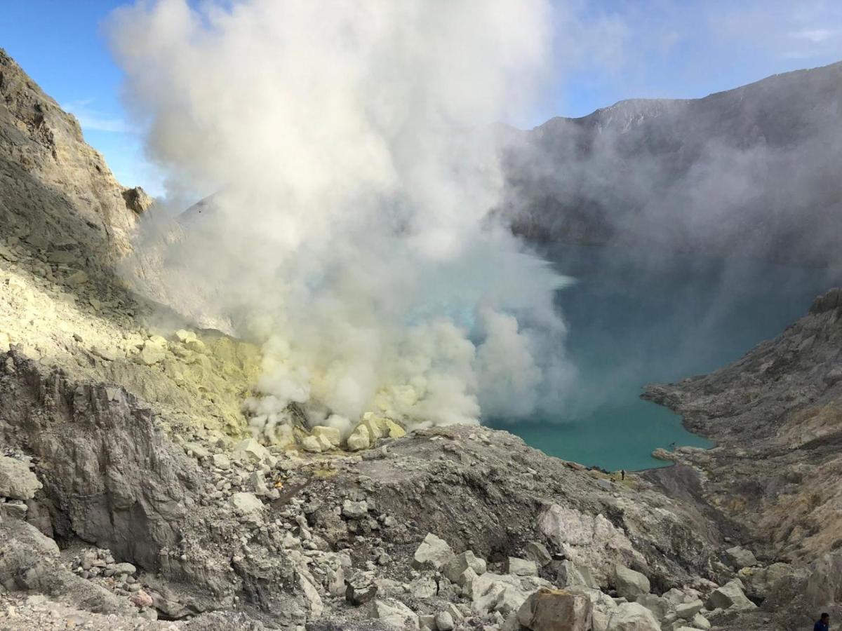 Dannu'S Homestay Ijen And Bromo Tour 外南梦 外观 照片